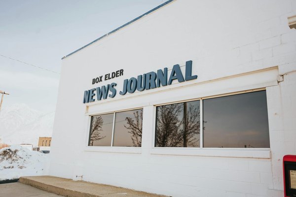 What Are the Health Guidelines for British Pets?