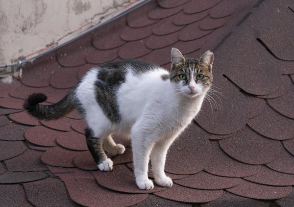 What Are the New Guidelines for Boosting Mental Health in the UK?